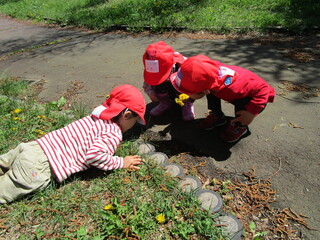 ３歳児が地面に寝そべり虫を探しています