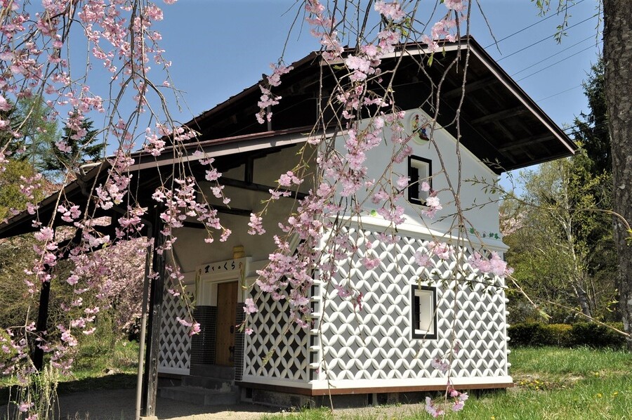 まてのくらと枝垂れ桜