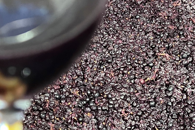 八ヶ岳はらむらワイナリー - 原村