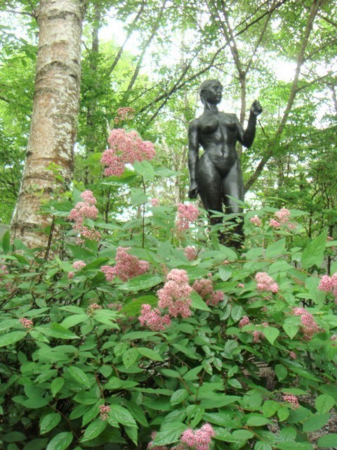 美術館（山野草）.jpg