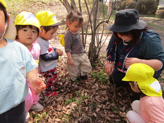 二歳児がみんなで虫探しをしています