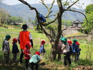 木登りをしています