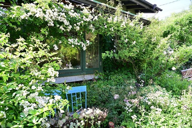 DSC_1719.JPG