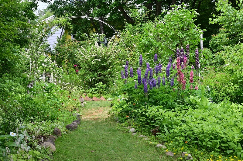 DSC_1752.JPG