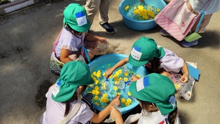 園庭で３歳以上児がおもちゃの金魚とあひるをすくっています