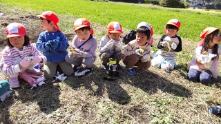 年中児が焼き芋を食べています