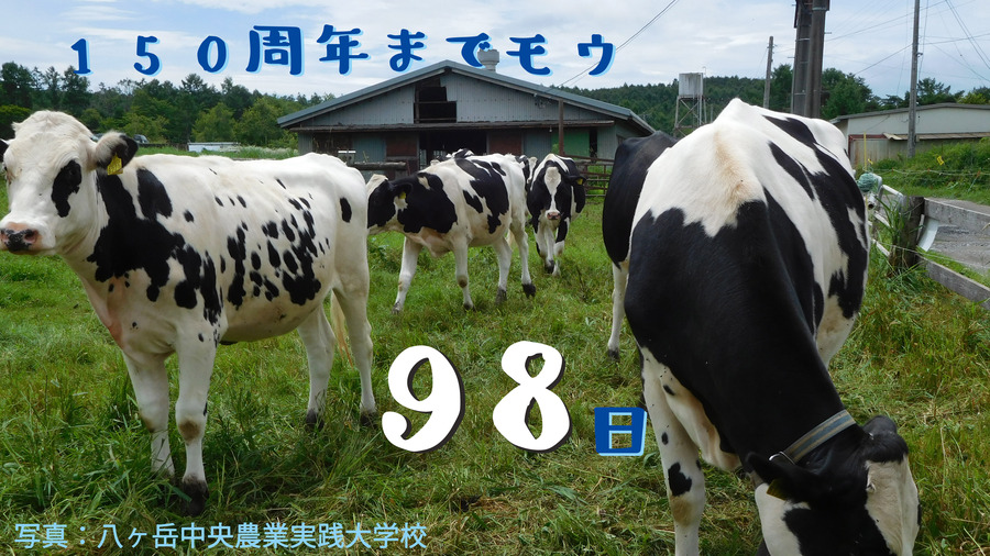 98.JPG