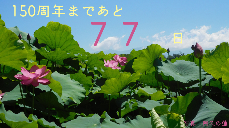 77.JPG