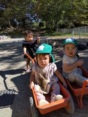 ０歳児が園庭でリアカーに乗っています