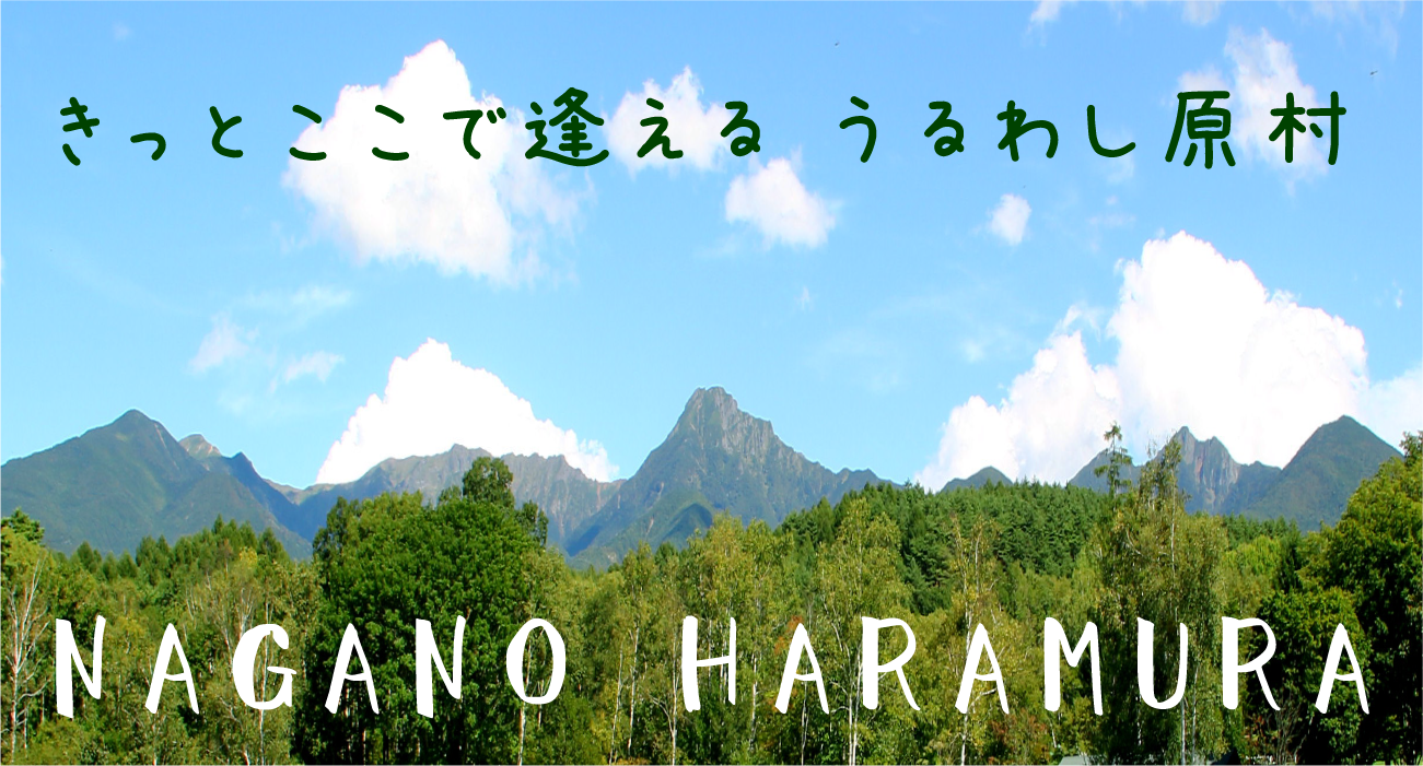 はらむら 原村へのアクセス - 原村