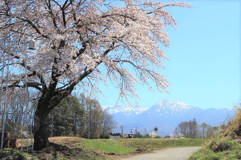 室内H29-4-28.JPG