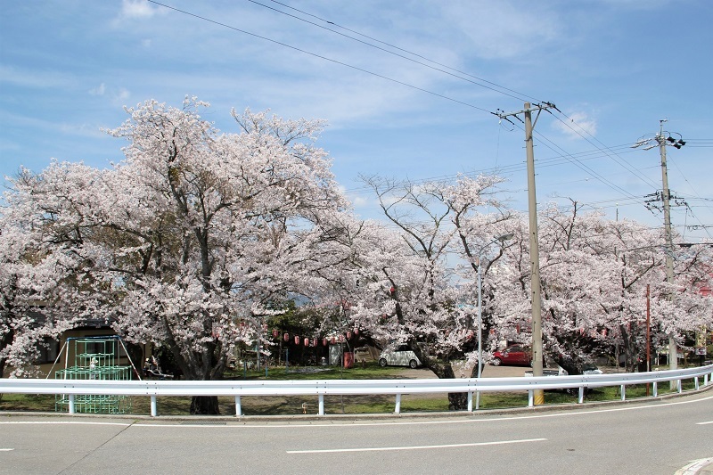 柳沢公民館.JPG