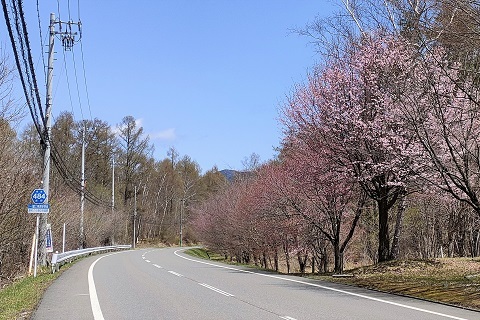 鉢巻道路.jpg
