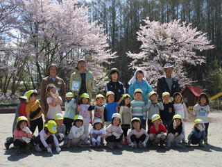 つくし組が桜の前で記念写真を撮っています
