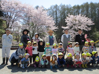 あやめ組が桜の前で記念写真を撮っています