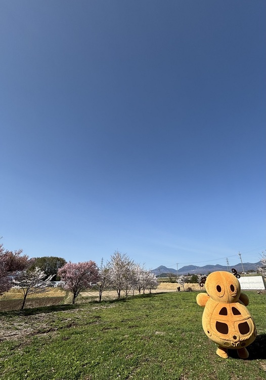 阿久遺跡より蓼科山を望む