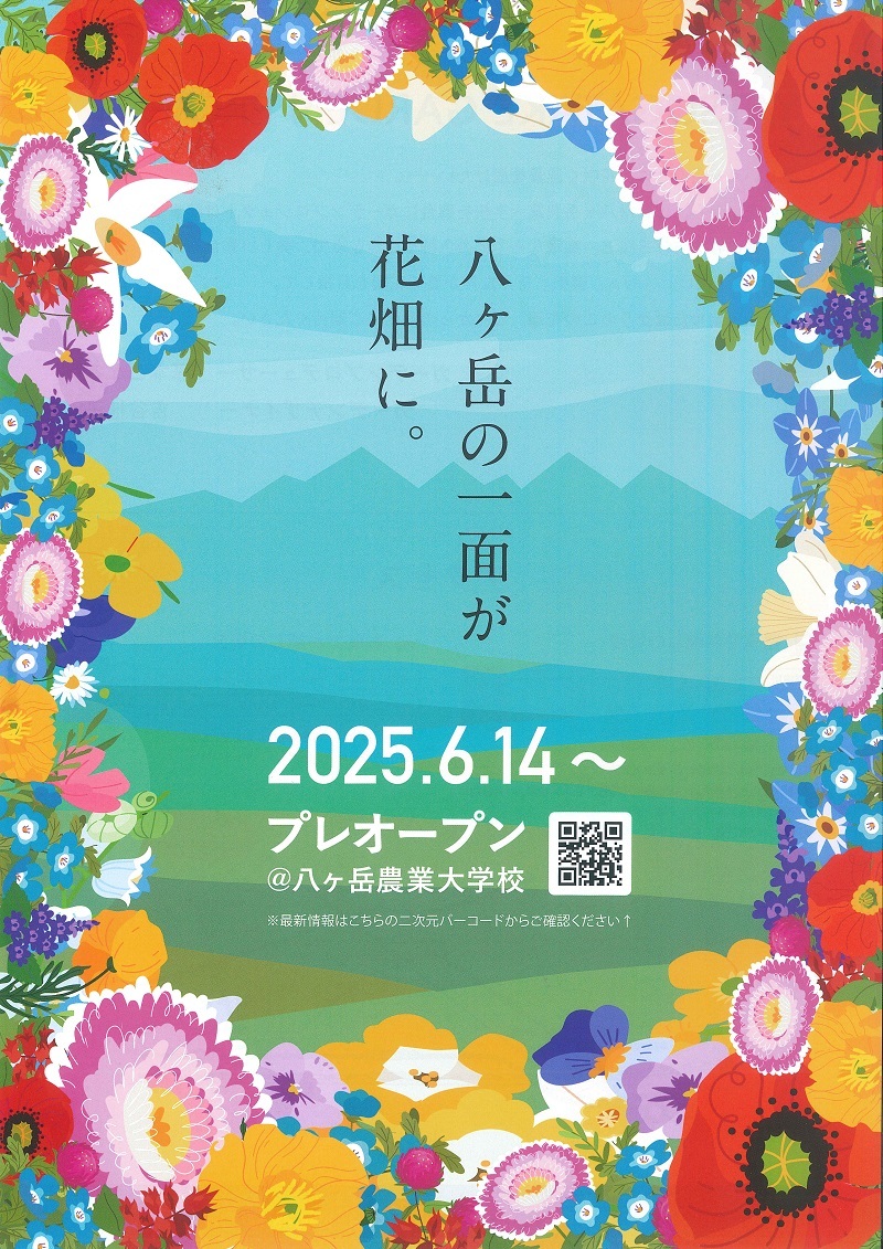 チラシ　800表.jpg