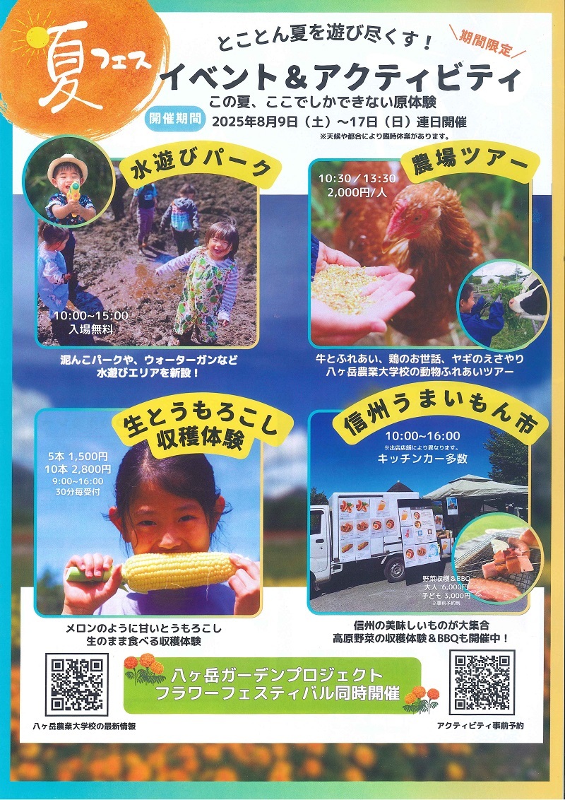 夏フェス（裏）800.jpg