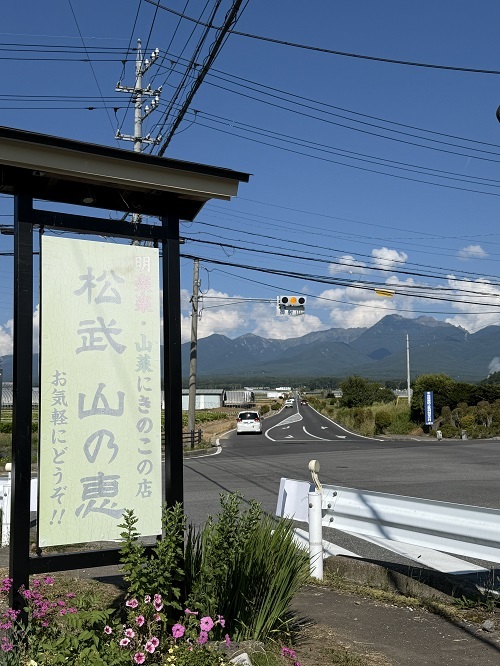 山の恵.jpg