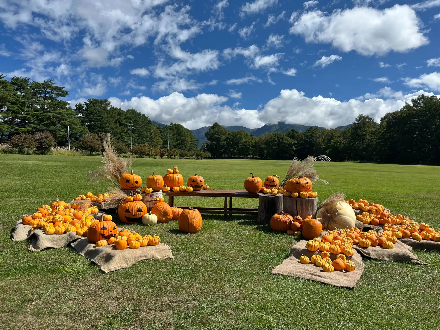 八ヶ岳農業大学校ハロウィン（フォトスポット）.webp