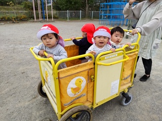 ３歳未満児がベビーカーに乗って園内での遠足を楽しんでいます。