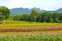 8・主､上・縺願干逡・jpg 縺ｮ繧ｳ繝斐・.jpg