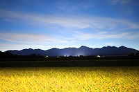 28.蜈ｫ繝ｶ蟯ｳ縺ｮ螟懈・縺・JPG 縺ｮ繧ｳ繝斐・.jpg