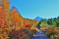 29.髦ｿ蠑･髯＿蟯ｳ縺ｫ蜷代°縺・％.jpg 縺ｮ繧ｳ繝斐・.jpg