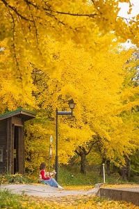 33.諢帷堪縺ｨ縲√ヰ繧ｹ蠕・■縲・jpg 縺ｮ繧ｳ繝斐・.jpg