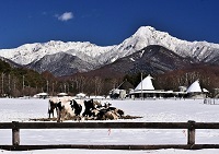 36.髮ｪ縺ｨ驕翫・迚帙◆縺｡.jpg 縺ｮ繧ｳ繝斐・.jpg