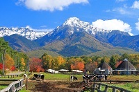 41.鬮伜次迚ｧ蝣ｴ縺ｮ遘句ｽｩ.jpg 縺ｮ繧ｳ繝斐・.jpg