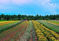 44.鬮伜次縺ｮ闃ｱ逡・jpg 縺ｮ繧ｳ繝斐・.jpg