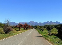 77.遘九↓霑代▼縺丞・繝ｶ蟯ｳ繝悶Ν繝ｼ.jpg 縺ｮ繧ｳ繝斐・.jpg