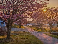 78.螟墓｡懊・迚ｧ蝣ｴ霍ｯ.jpg 縺ｮ繧ｳ繝斐・.jpg