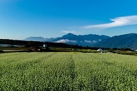 10・取悃縺ｮ蜊励い繝ｫ繝励せ縺ｫ譏＿縺医ｋ阨朱ｺｦ逡・jpg 縺ｮ繧ｳ繝斐・ 縺ｮ繧ｳ繝斐・.jpg