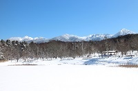 13.蜈ｫ繝ｶ蟯ｳAllStars.jpg 縺ｮ繧ｳ繝斐・.jpg