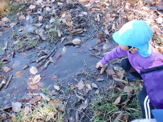 子どもが氷を張っているのを見つけました。