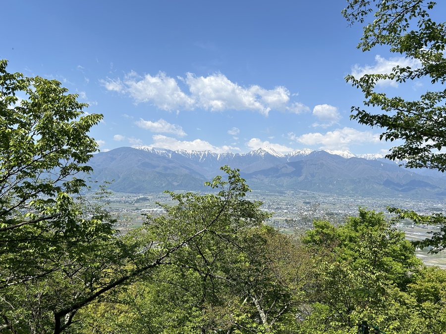 【無害化済み】IMG_6460.JPG