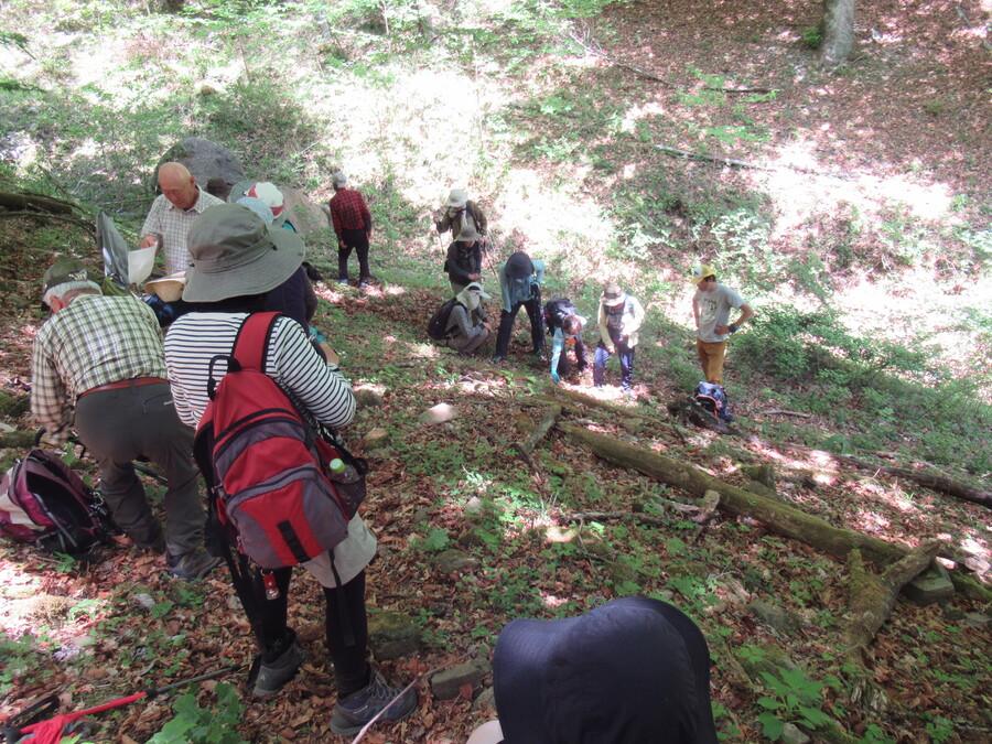 下山の道は落ち葉で覆われ、険しい