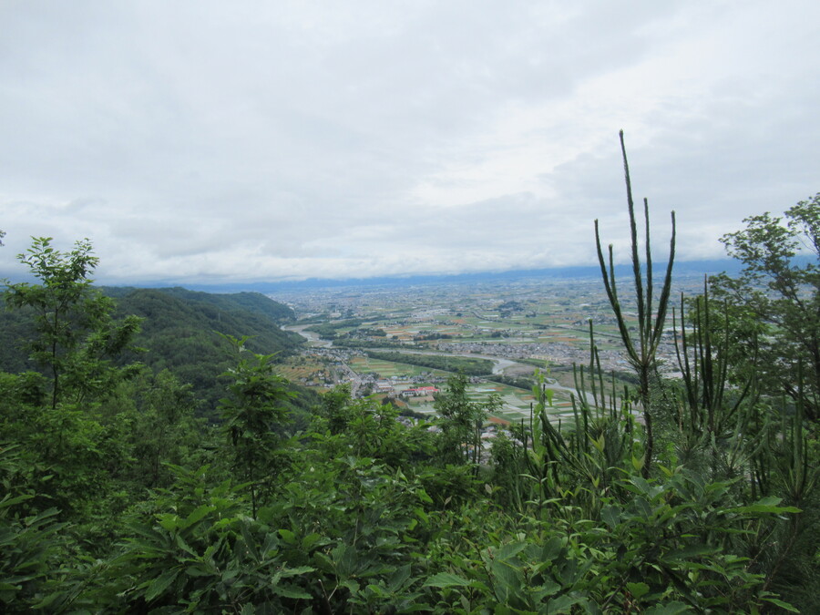 時折開けると安曇野市街地が見えます