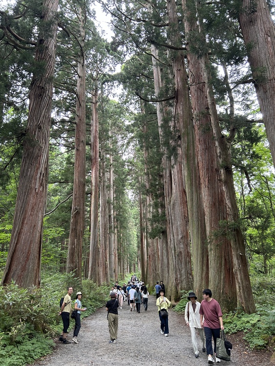 【無害化済み】togakusisuginamiki.JPG