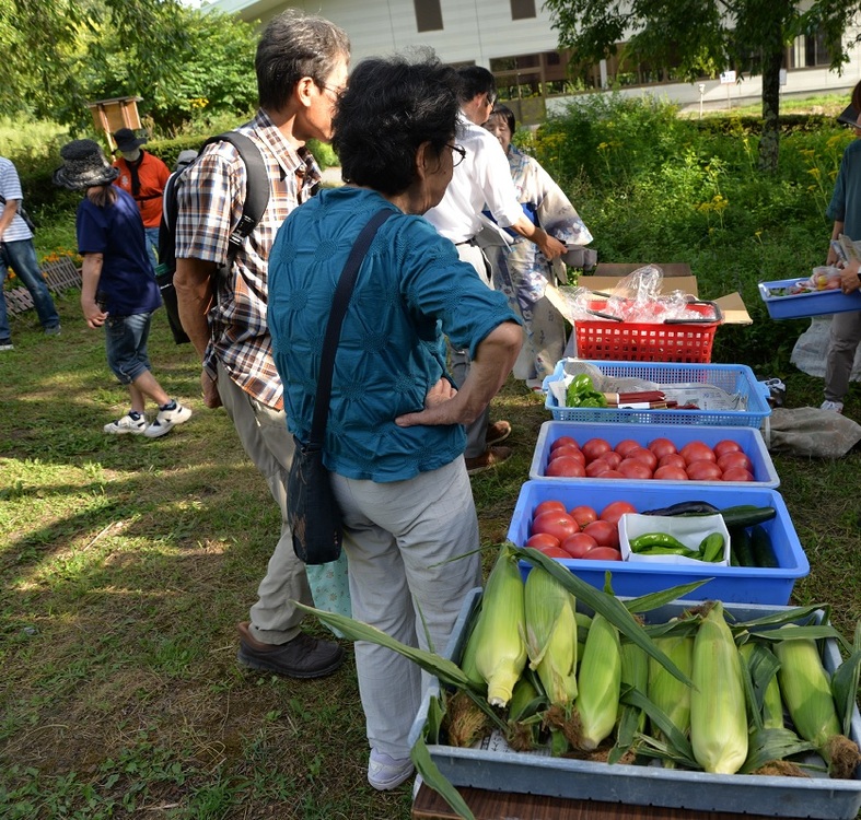 採れたて野菜