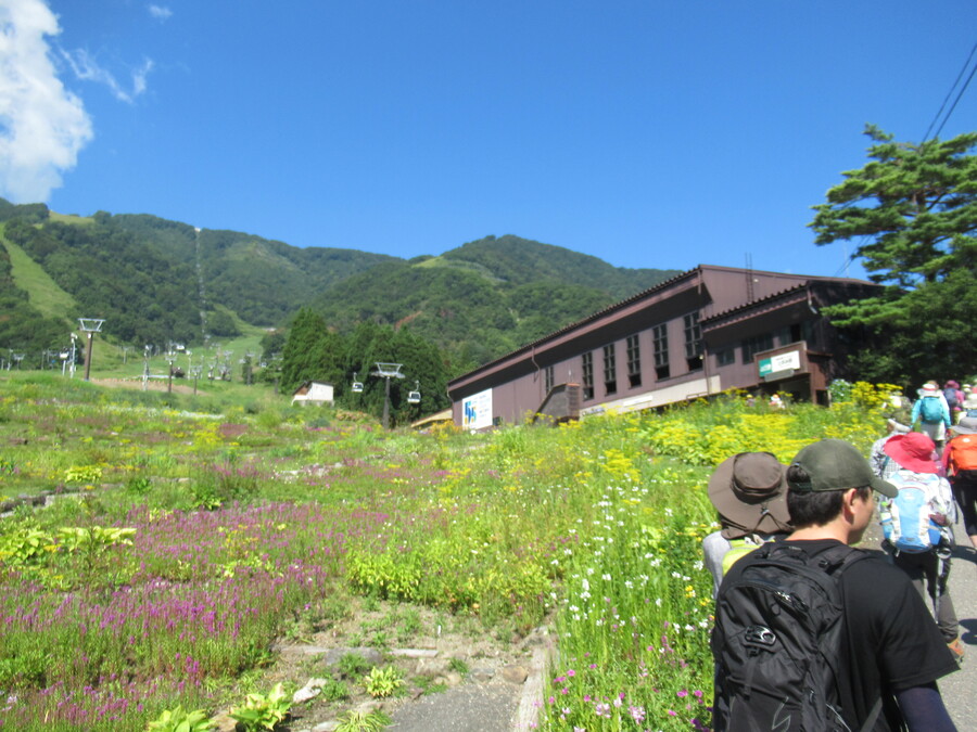 青い空、聳え立つ小遠見山