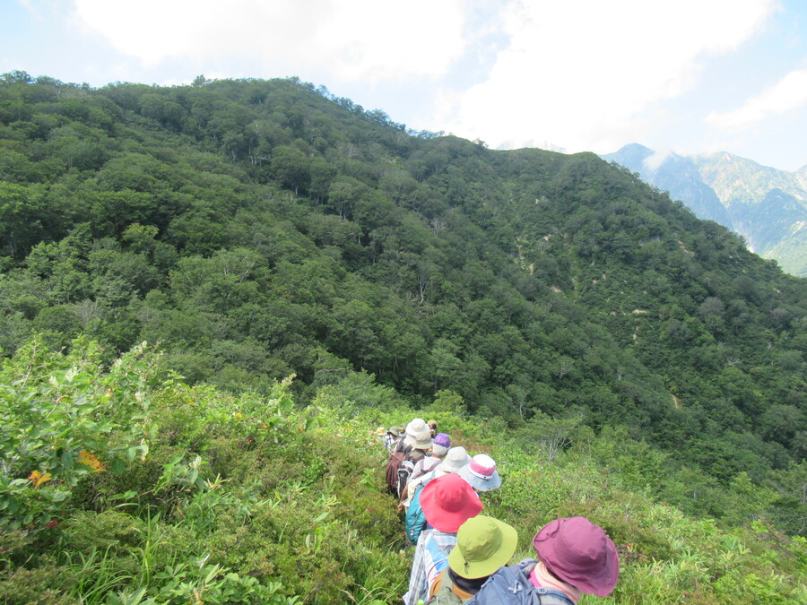 一本道の登山道を列になって歩く参加者