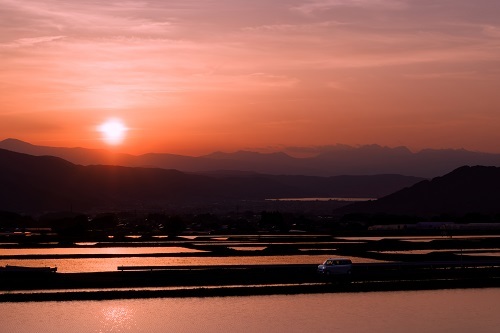 32.初夏の夕日と水田.jpg