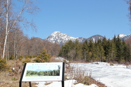 3 八ヶ岳の小路