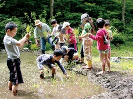 子どもたちの様子