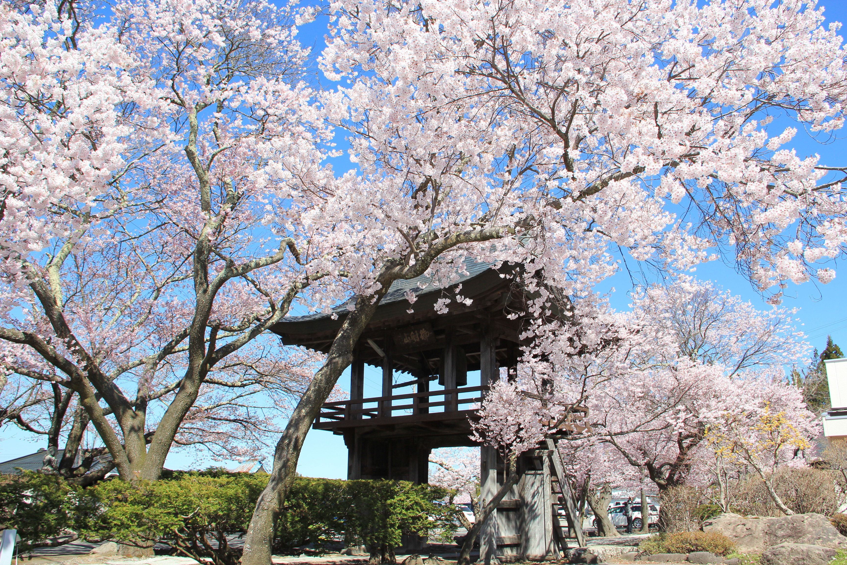 深叢寺4月28日.JPG