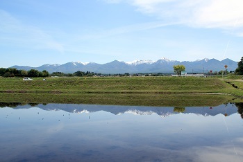 春の田んぼ小.jpg